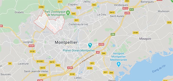 FDI Promotion appartement neuf Montpellier quartier Hôpitaux-Facultés