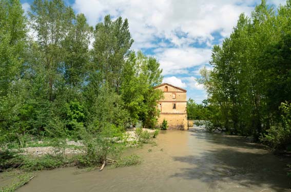 résidence neuve Blagnac Parc verdure